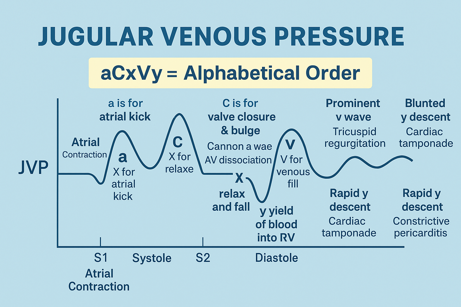 Illustration of First Heart Sound S1 and Jugular Venous Pressure JVP Complete Clinical Guide symptoms